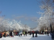 Concours la Métropole en photo - Vicky Parisella - Parc Jean-Drapeau